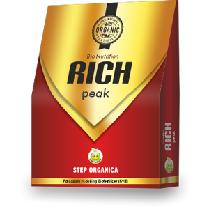 Rich Peak